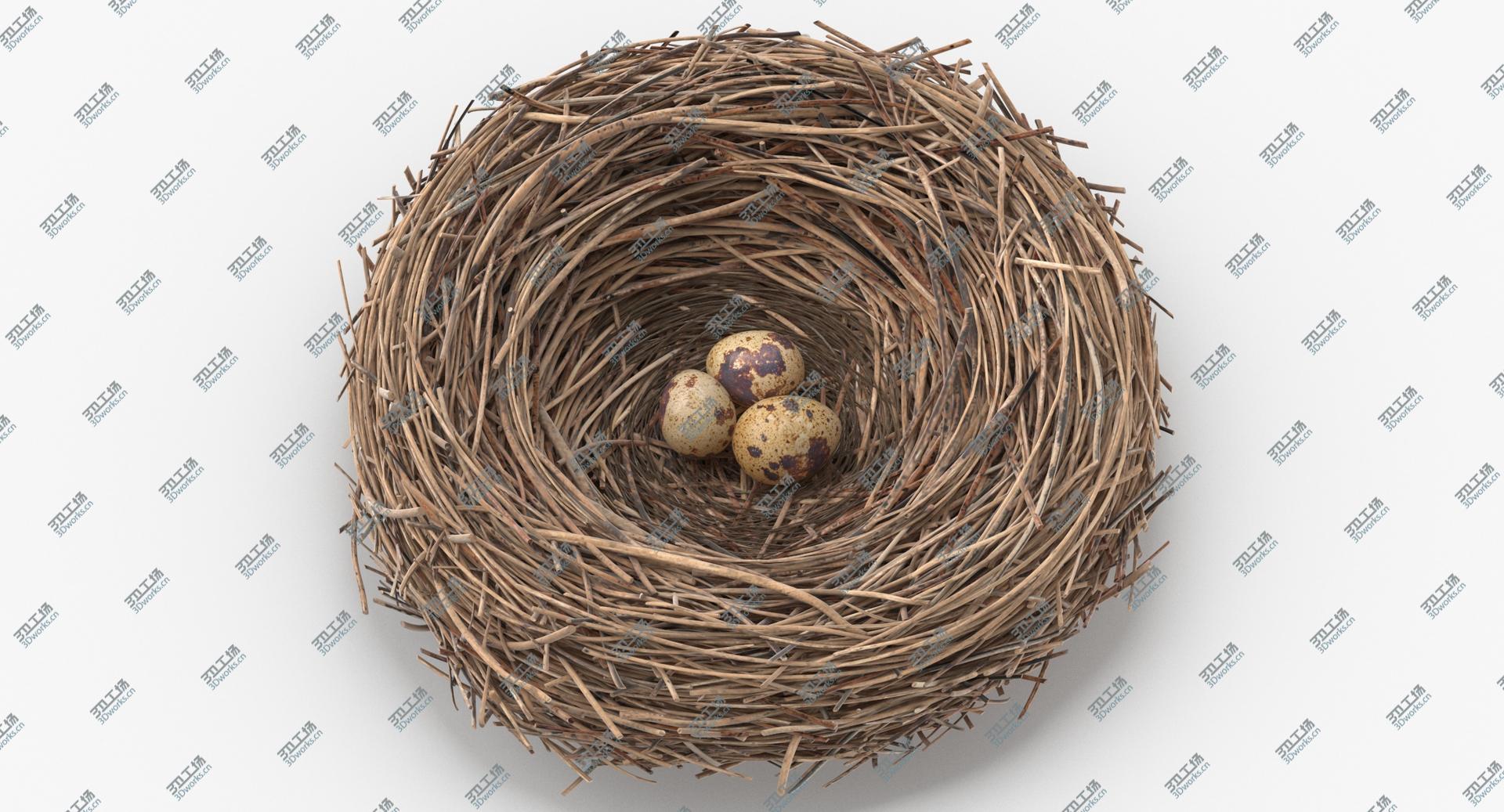 images/goods_img/2021040162/3D Bird Nest 03 With Quail Eggs model/1.jpg